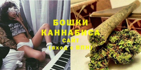 гидра Гусь-Хрустальный