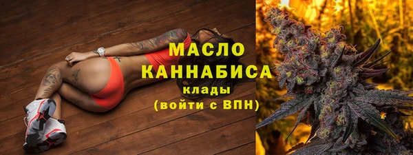 гидра Гусь-Хрустальный