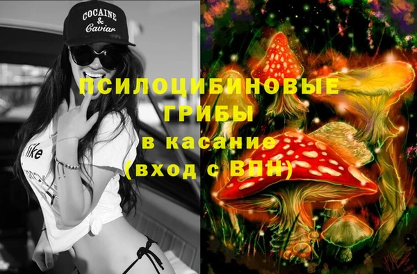 гидра Гусь-Хрустальный