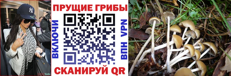 Галлюциногенные грибы GOLDEN TEACHER  наркотики  Октябрьск 